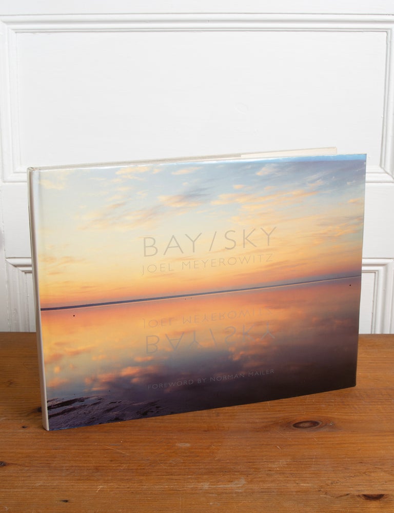 Item #321 Bay/Sky. Joel Meyerowitz.